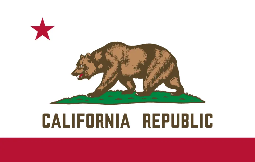 California Digital IT Services By SARHUS