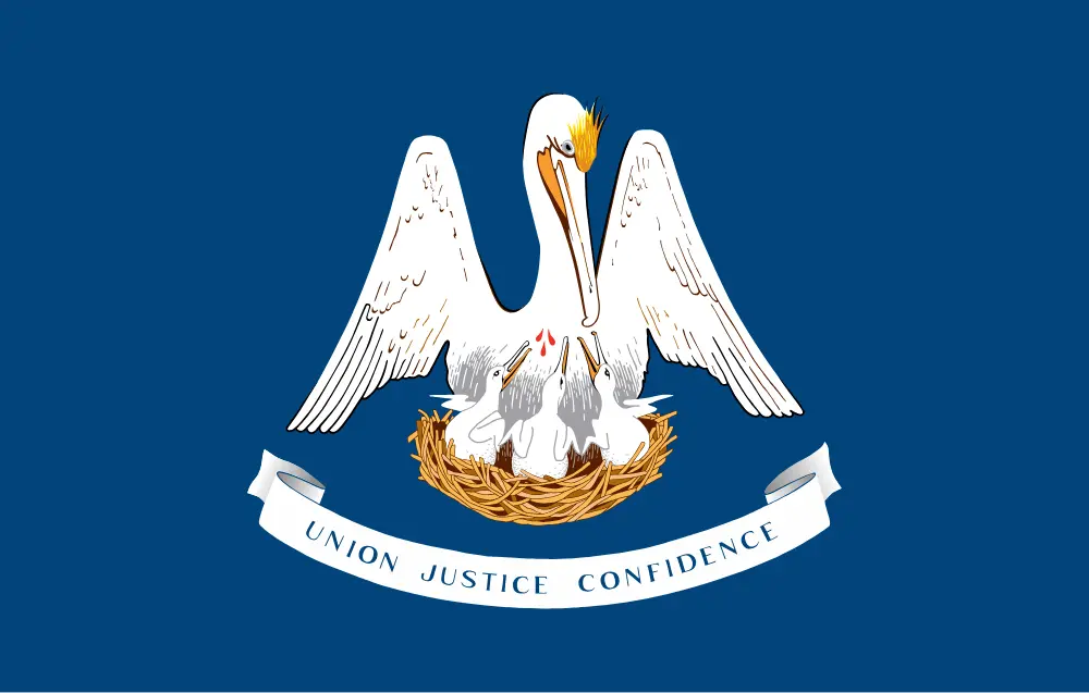 Louisiana Digital IT Services By SARHUS