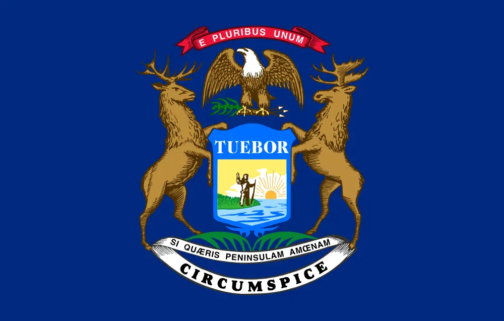 Michigan Digital IT Services By SARHUS