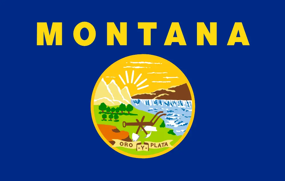 Montana Digital IT Services By SARHUS