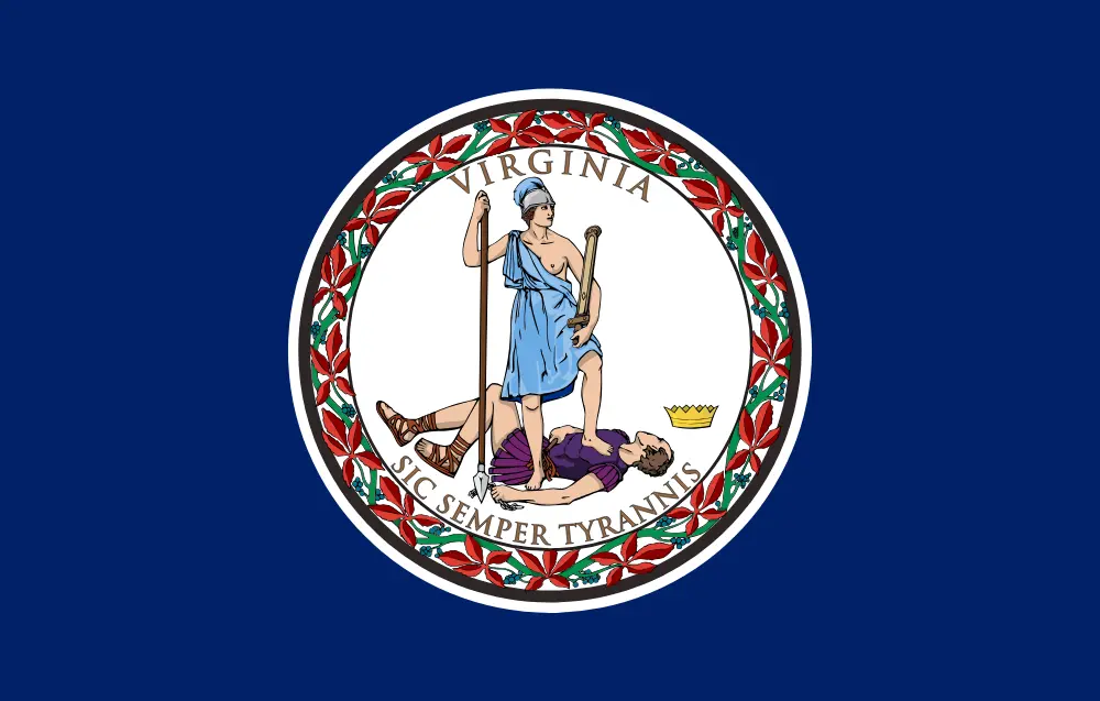 Virginia Digital IT Services By SARHUS
